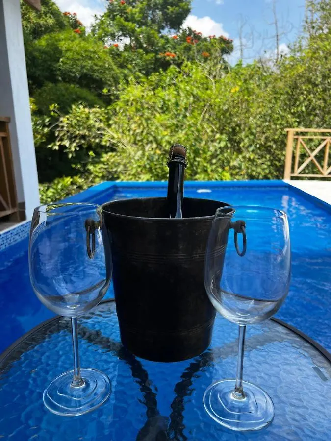 Villa Unter Palmen Jarabacoa