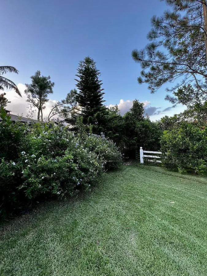Villa Unter Palmen Jarabacoa República Dominicana
